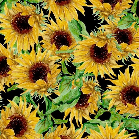 Meet your Posher, Jillian - Picture 1 of 1